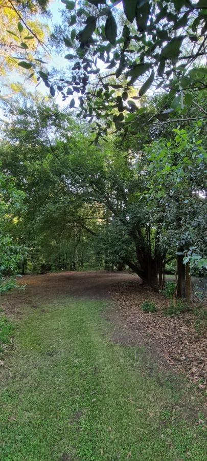 Bird Songs Getaway Accommodation Cabbage Tree Creek エクステリア 写真