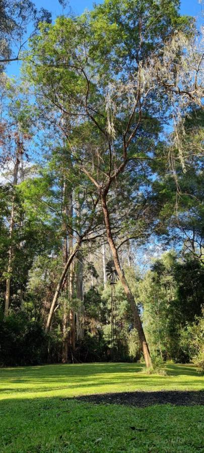 Bird Songs Getaway Accommodation Cabbage Tree Creek エクステリア 写真