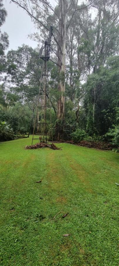 Bird Songs Getaway Accommodation Cabbage Tree Creek エクステリア 写真