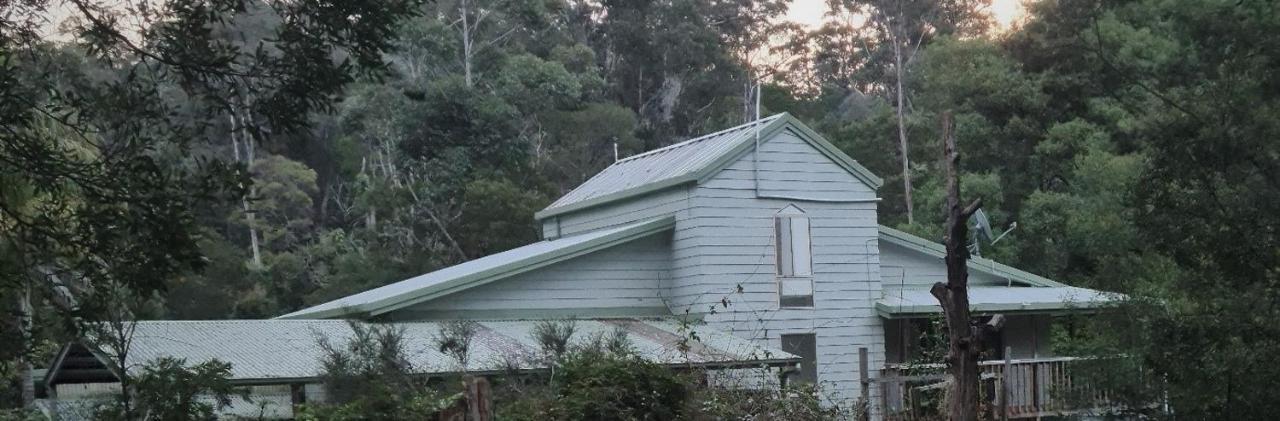 Bird Songs Getaway Accommodation Cabbage Tree Creek エクステリア 写真
